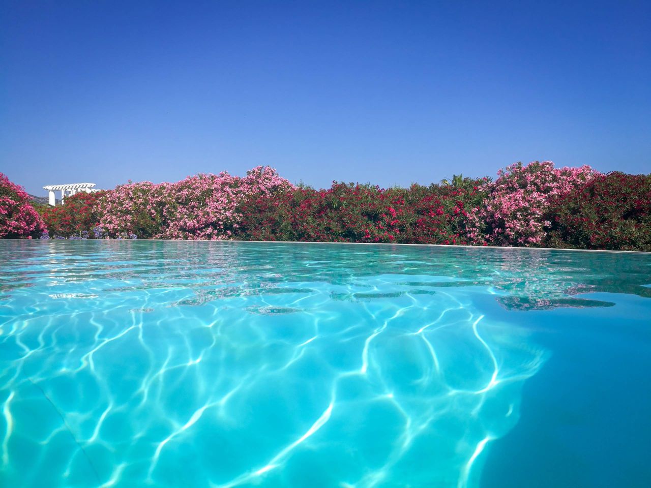 {gpt xx}Clear blue pool reflecting sunlight, surrounded by vibrant pink flowers and a bright blue sky. A serene paradise.{gpt}